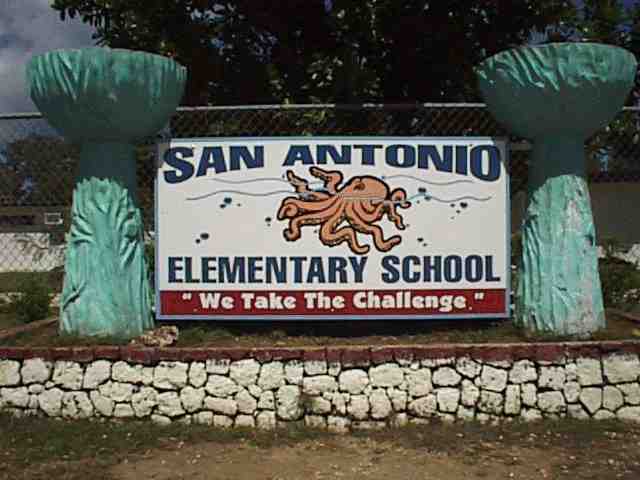SAES Sign